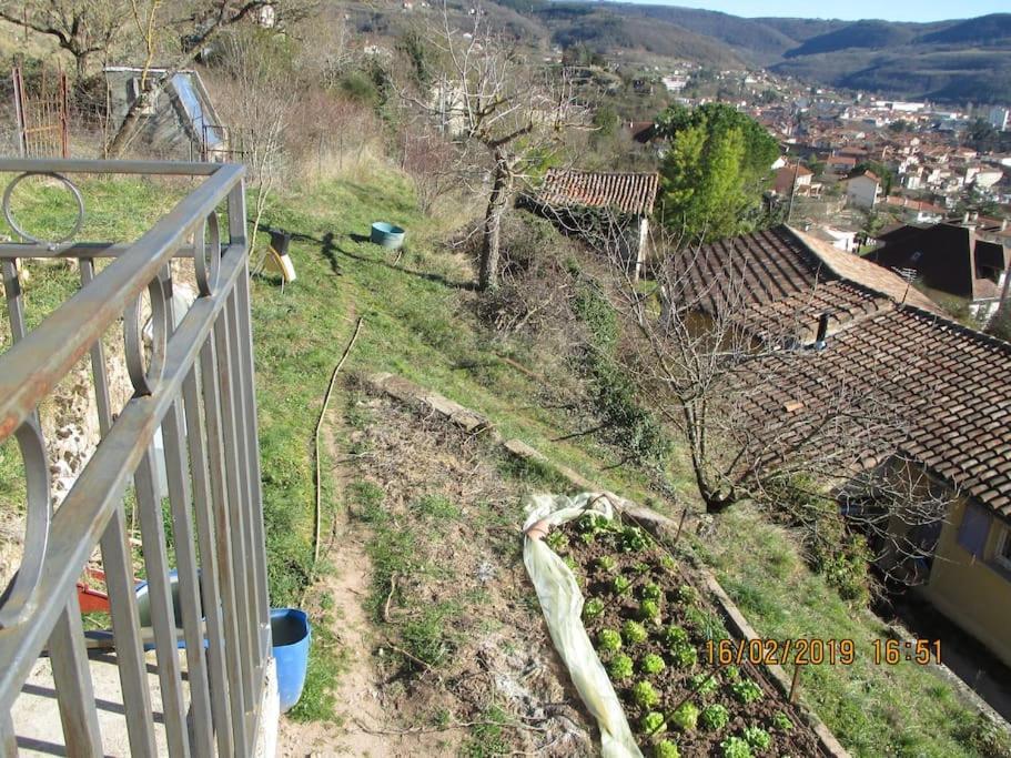 Maison De Vigne Renovee Saint-Affrique Exterior foto
